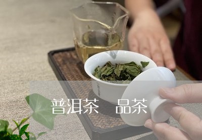 普洱茶 品茶/2023042860538